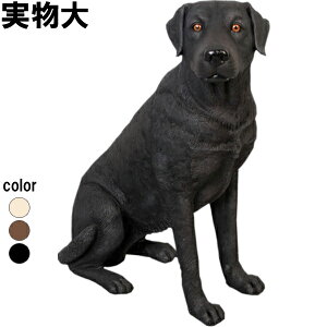 郉uh[ ubN Sitting Labrador vX`bN (FRP) A[gIuWF    u   O  f tBMA K[fjO CeA Aj} y K