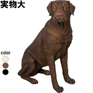 郉uh[ uE Sitting Labrador vX`bN(FRP) A[gIuWF    u   O K[f I[ig   f tBMA K[fjO C