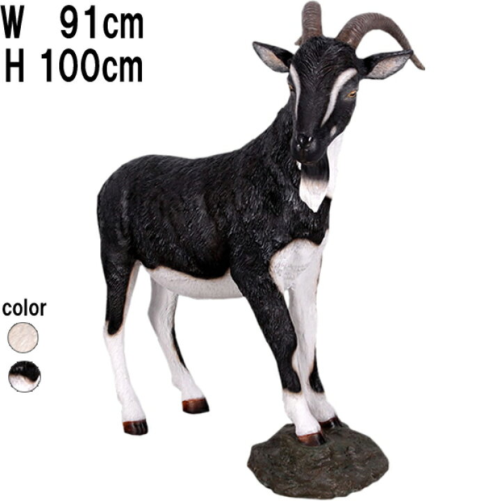 楽天市場】雄ヤギ・ブラック＆ホワイト Billy Goat 強化プラスチック 