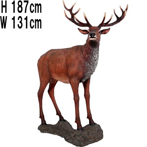 厭 Red Deer Stag on Base vX`bNiFRPj A[gIuWF A   VJ Aj} u y  tBMA y  K[f I[ig g fBXvC X C