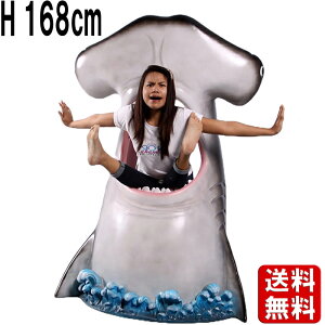 n}[V[N T̃tHgt[o H168cm 傫 T L IuWF tHgX|bg opl ʐ^  A   X Ŕ Cxg ^ fBXvC CeA