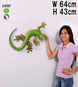 FRPAj}IuWF  60cm Gecko A ঒ Ǌ| u tBMA 傫 CeA EH[ I[ig jz    X  JtF iX Xg