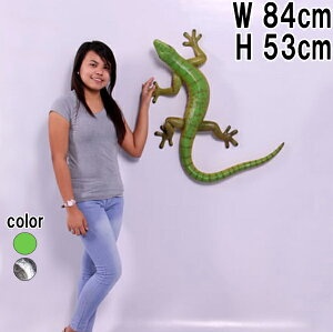 FRPAj}IuWF  80cm Gecko A ঒ u tBMA jz 傫 Ǌ| I[ig CeA ǖ    X  JtF iX Xg 