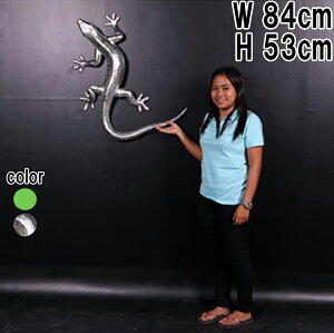 FRPAj}IuWF  80cm Gecko A jz u tBMA 傫 EH[ I[ig ঒ Ǌ| CeA  ǖ   X  JtF iX X