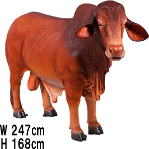 htg}X^[Y / Droughtmaster Bull vX`bNiFRPj A[gIuWF ̒2m47cm  ͖_   u ^ tBMA A K[f I[ig  Cxg f