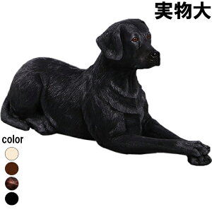 郉uh[  Labrador Lying Down vX`bN (FRP) A[gIuWF  u ubN   O K[fjO  傫 CeA   f g tBMA Aj