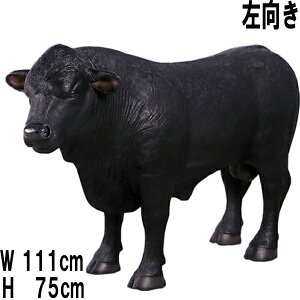 ^AKX  Definitive Angus Looking Left vX`bNiFRPj A[gIuWF K[f I[ig  Aj} u A   tBMA EV CeA  Cx