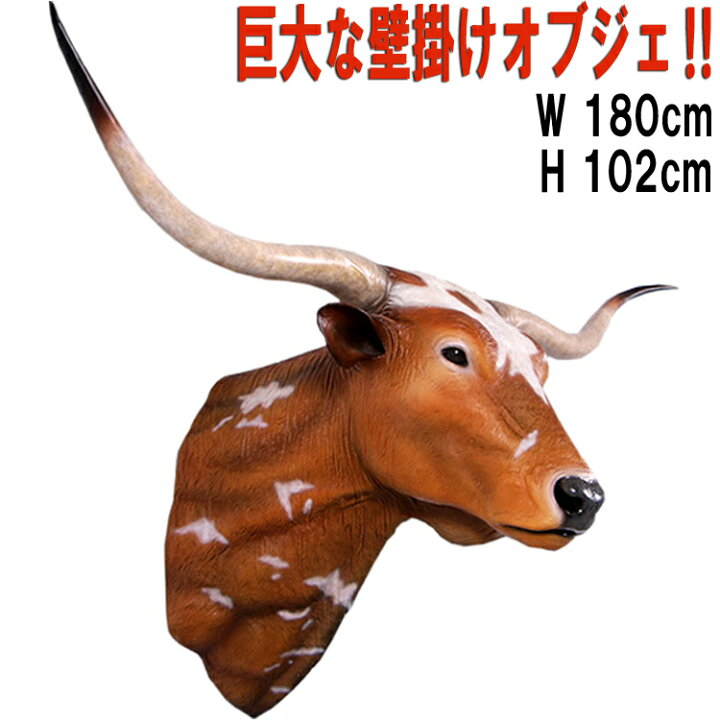 楽天市場】ロングホーン 頭部 Texas Long Horn 強化プラスチック（FRP 