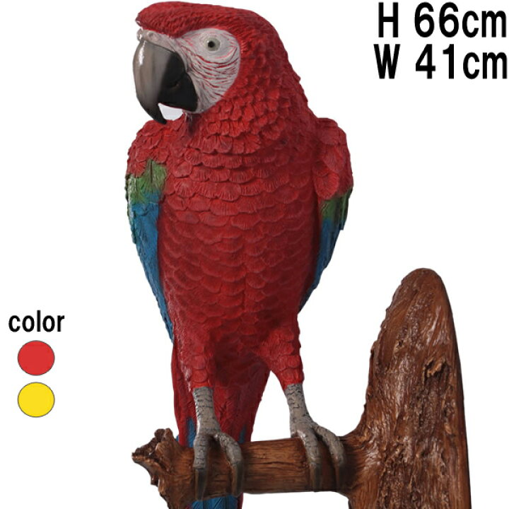 楽天市場】オウム （壁掛け用） レッド&ブルー Parrot 強化 