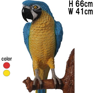 IE iǊ|pj CG[&u[ Parrot vX`bN (FRP) A[gIuWF A  u EH[ I[ig y CeA     O O  g tBMA