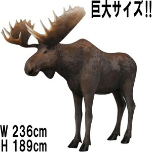 唗́I [X Moose ̒2m36cm vX`bNiFRPj A[gIuWF    wWJ tBMA f Aj} ^ u y y  g   fBXvC X 