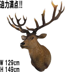 ̓ Grand Stag Head Wall Decor vX`bNiFRPj A[gIuWF A   VJ   tBMA Aj} u y y  g fBXvC X CeA 
