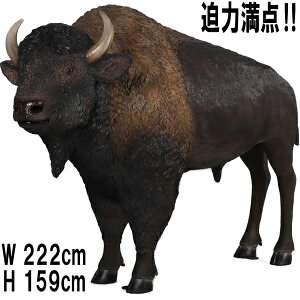 AJ oC\ American Bison vX`bNiFRPj A[gIuWF ̒2m22cm  ͖_ Ŋ뜜 A   u K[f I[ig Cxg fBXvC ^ 