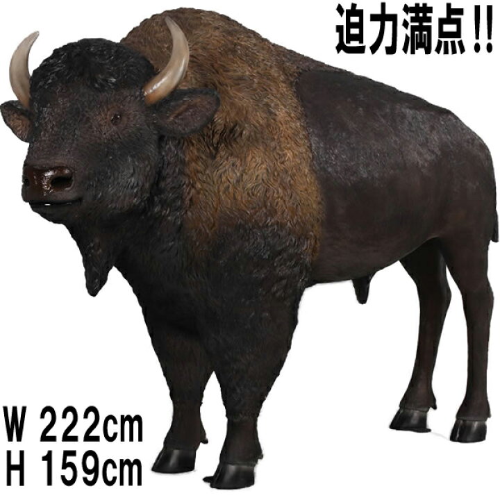 楽天市場】アメリカン バイソン American Bison 強化プラスチック（FRP 