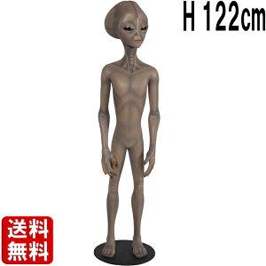 YEFnÕGCA H122cm 傫 Fl F UFO l  A u SF   X Ŕ Cxg ^  g tBMA fBXvC CeA  X