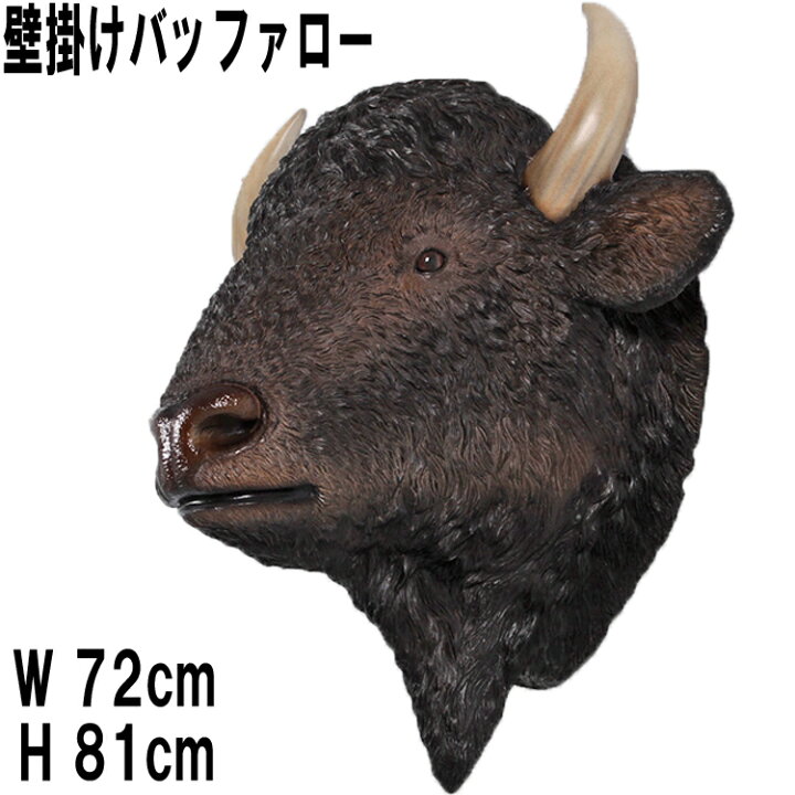 楽天市場】壁掛け アメリカンバッファロー 頭部 American Bison Head 