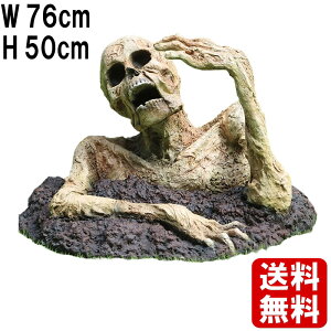 悩甇o]r #3 Zombie W76cm z[ | [  u ]r  IoP  ΂ 傫 ^ IuWF tHgX|bg X JtF iX HX Cxg  A tB