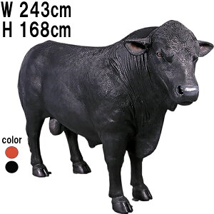 AKX  Angus Bull vX`bNiFRPj A[gIuWF ̒2m43cm  ͖_ ^ tBMA A   u K[f I[ig Cxg fBXvC CeA