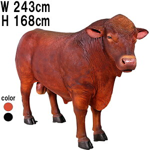 AKX  Angus Bull vX`bNiFRPj A[gIuWF ̒2m43cm    ͖_ ^ tBMA A Aj} u K[f I[ig Cxg fBXvC 