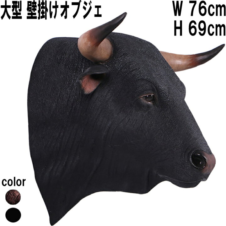 楽天市場】黒毛牛の頭部 壁掛け Spanish Fighting Bull Head 強化 