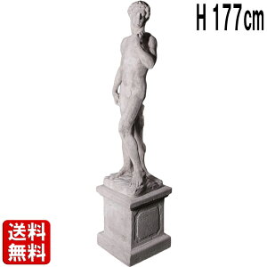 _rf 170cm j  傫 IuWF tBMA l }lL f ^ fBXvC g  嗝Β CeA u X Ŕ  pi  p t