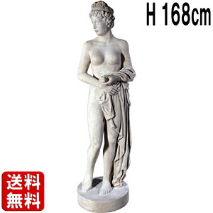 SB[iX 168cm w B[iX  傫 IuWF tBMA  l }lL f ^ fBXvC g   嗝Β CeA u