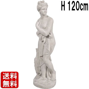 Jm@̃B[iXEC^J 120cm w B[iX  傫 IuWF tBMA  l }lL f ^ fBXvC g  嗝Β CeA