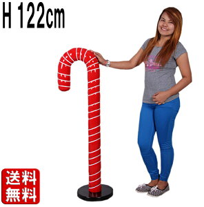 120cm̃LfBPC 傫 IuWF u NX}X Xmas  َq  A XC[c HiTv LfB[P[ A  g Cxg   ^ fBXvC t