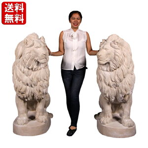 郉CI yA 嗝Ε  IuWF q CI Sb̉   傫 A ^  u AeB[N Vr[VbN CeA  g   G