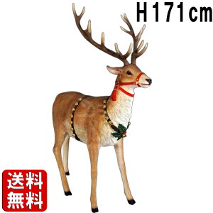 giJC 傫 IuWF H171cm A fBXvC Xmas NX}X T^N[X \ ~ Cxg CeA ^  u Ŕ y X   y 킢  VJ  