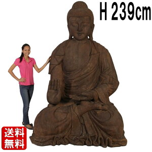 ȕ ub_ GCWOdグ 239cm _l  J^  T  ߉ 傫  IuWF  Α l GXjbN AWA ^C G CeA u X 