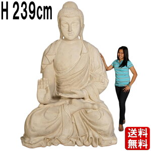 ȕɃub_ Xg[dグ 239cm _l  J^  T  ߉ 傫 IuWF Α  l GXjbN AWA ^C G CeA u X Ŕ  