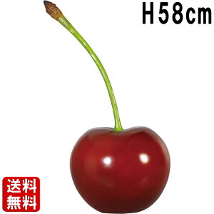  1 Cherry H58cm 傫 IuWF  Hi Tv TN{ `F[ ʕ  t[c A XC[c  X  Ŕ _ _ JtF HX Xg  