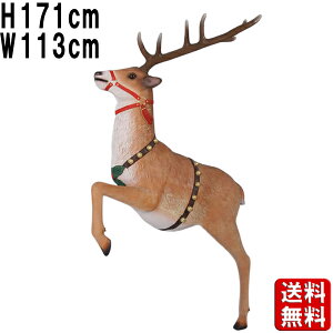 giJC Ǌ|p H171cm 傫 IuWF EH[fR   NX}X T^N[X \ Cxg ~ CeA ^  u Ŕ y X   fBXvC y 