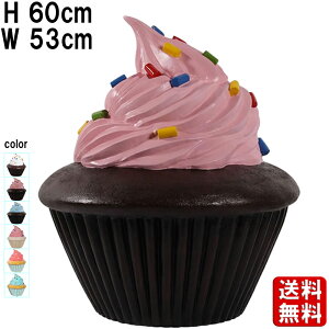 `RJbvP[L sNN[ H60cm X  傫 IuWF  HiTv A P[L XC[c fU[g َq Ăَq }tB  Ŕ JtF HX Xg 