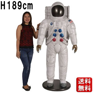 Fsm H189cm 傫 IuWF Cxg F F Fsm Xy[XpCbg Ȋw f  n fBXvC CeA u ^ tBMA l` Ŕ X    