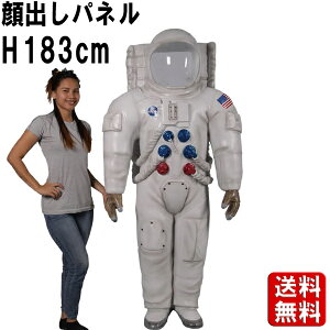 Fsm 炾pl H189cm 傫 IuWF Cxg F F Fsm Xy[XpCbg Ȋw f  n fBXvC CeA u ^ tBMA l` Ŕ X 