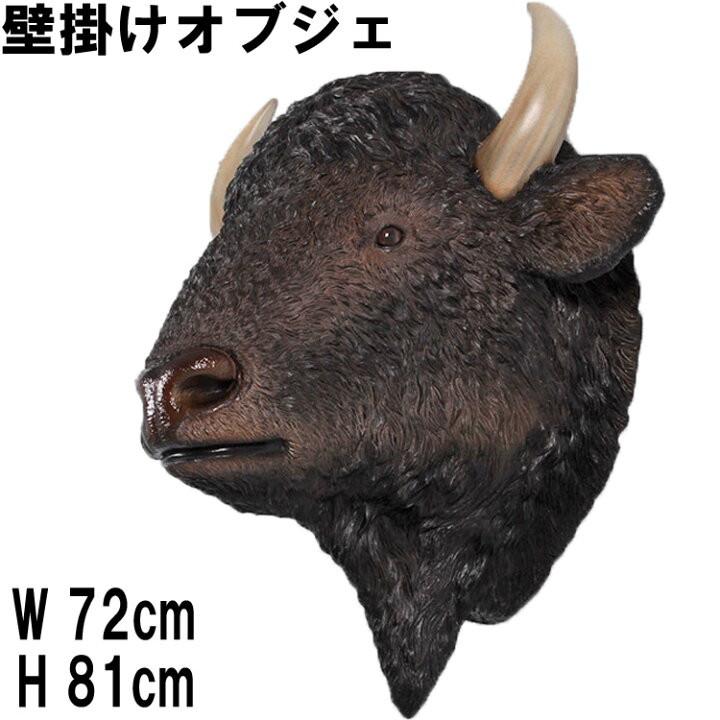 楽天市場】壁掛け アメリカンバッファロー 頭部 American Bison Head 