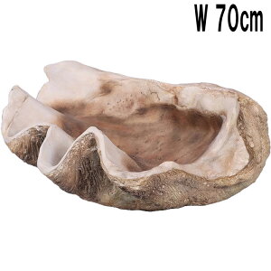 �����v���X�`�b�N (FRP) �A�[�g�I�u�W�F �V���R�L Giant Clam Shell W70cm D55cm H27cm ���A�� �C���e���A �f���� ������� �u�� ���蕨 �����i ���r���O �y�� �t�@�j�`���[ �X�� �y�� �C�x���g �f�B�X�v