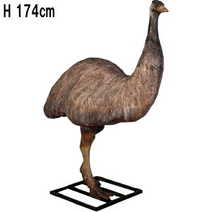 G~[ Emu vX`bN (FRP) A[gIuWF  1m74cm A 傫  u K[fjO I[ig CeA ??    O O f  y  tBMA
