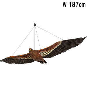 �E�F�b�W�e�C���h���V �u�����ь^�̔������h�v Wedge Tailed Eagle Flying �����v���X�`�b�N (FRP) �A�[�g�I�u�W�F ���A�� �u�� ������ �C�k���V �I�[�i�����g �f���� ���� �O �y�� ���� �� ���� �t