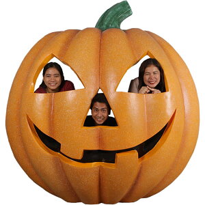nEB ڂ tHgX|bg Pumpkin Photo-Op@vX`bNiFRPjA[gIuWF f fBXvC Halloween ʐ^B u X  Be  y x Cxg y 