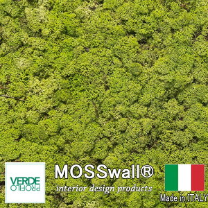 C^A XEH[ 600×400 ۃpl MOSSwall mw02 VERDE PROFILOА ۃ}bg ǖ A[g Ή eiXsv  Ԏd؂ VR EH[O[ ǖʗΉ pl X Ǌ| 