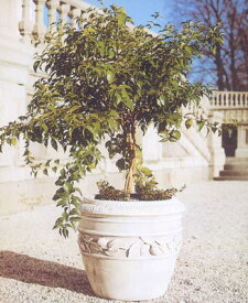 イタリア製 大型フラワーポット プランター ボンナ BONNA VR0687 ITALGARDEN 花鉢 イタルガーデン社 丸型 植木鉢