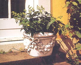イタリア製 大型フラワーポット プランター ベイオ VEIO ITALGARDEN 花鉢 イタルガーデン社 角型 植木鉢