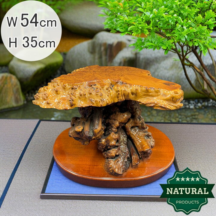 楽天市場】送料無料 木の根 飾り台 W54.5cm 高級 花台 盆栽卓 根卓 飾 