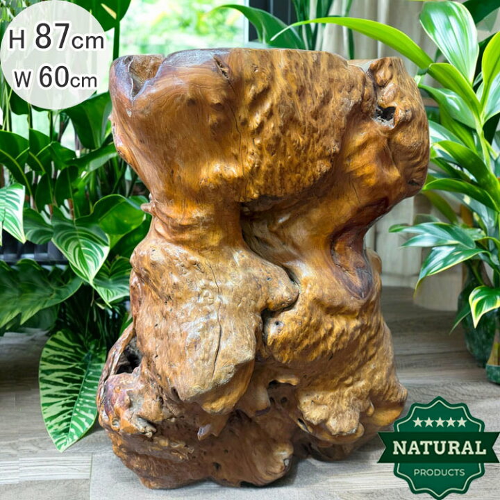 楽天市場】送料無料 自然木 楠 花鉢 展示品 オブジェ H87cm 家具 天然 