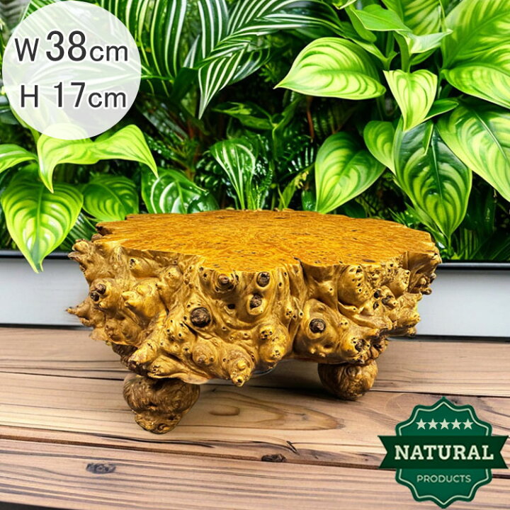 楽天市場】送料無料 木の根 飾り台 W38cm 高級 花台 盆栽卓 根卓 飾台 