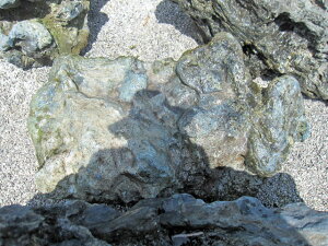 kC KY R a Β 뉀   i yiԍFy-kur1807-038z