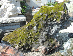 kC ԍKY  R a 뉀 Β i yiԍFy-kur1807-050z